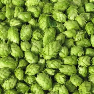 Hops CO2