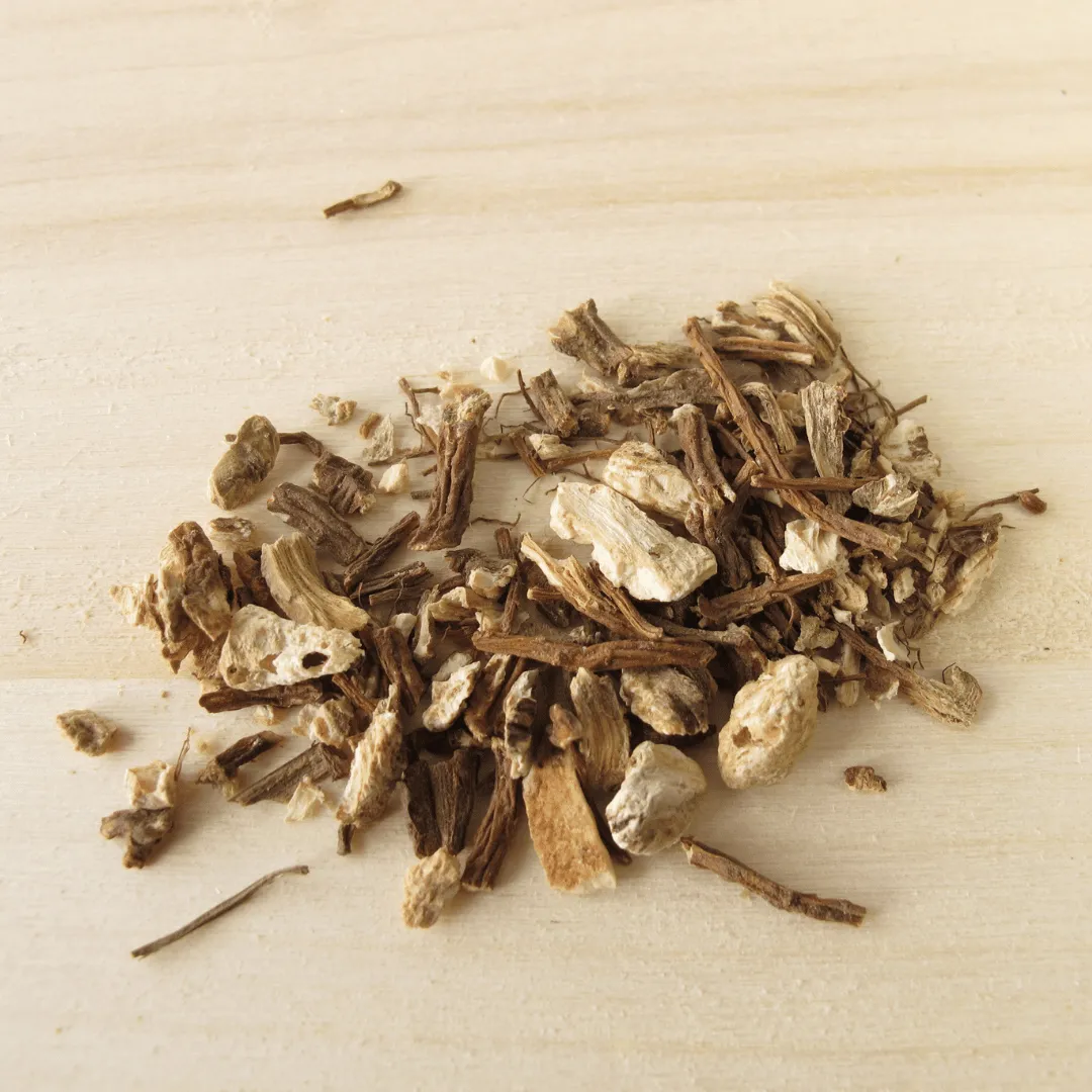 Angelica Root