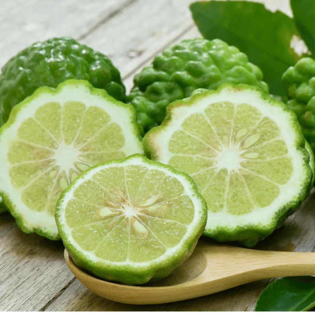 Bergamot FCF
