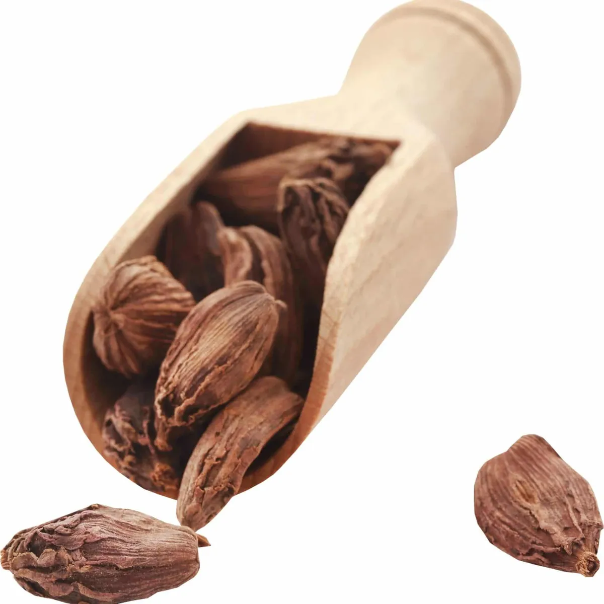 Cardamom Seed CO2