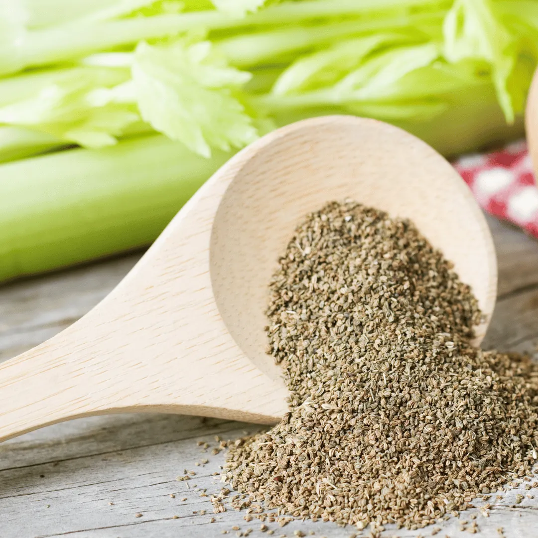 Celery Seed CO2