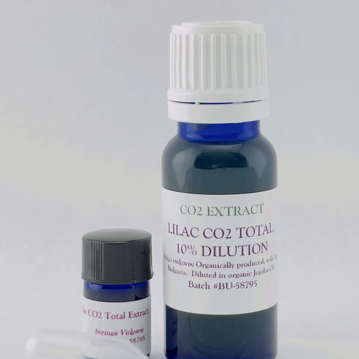 Lilac CO2, 10% Dilution