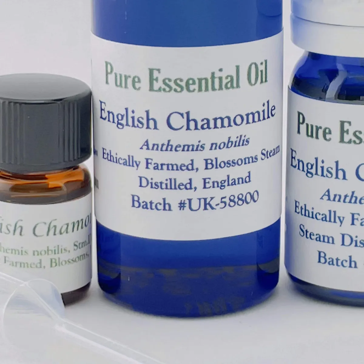 Chamomile, English
