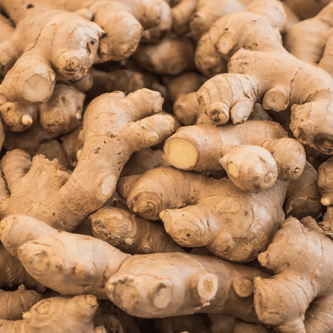 Ginger Root SELECT CO2