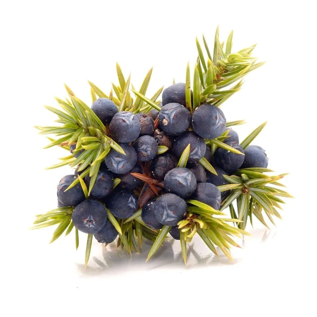 Juniper Berry CO2