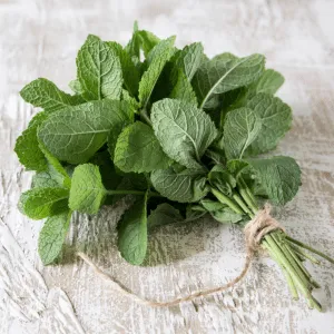 Peppermint, Organic, Hungarian