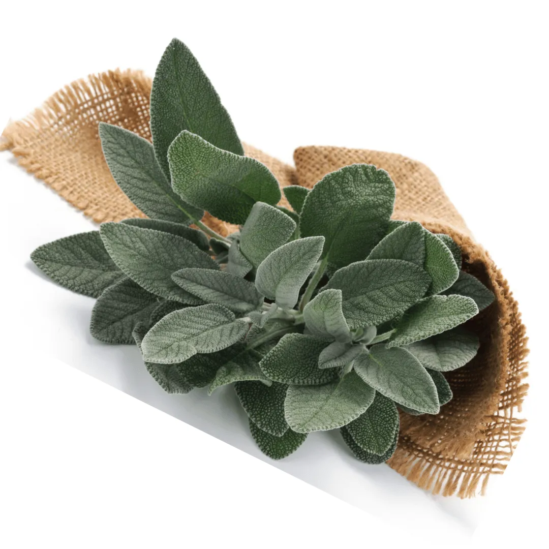Sage, White, Hydrosol