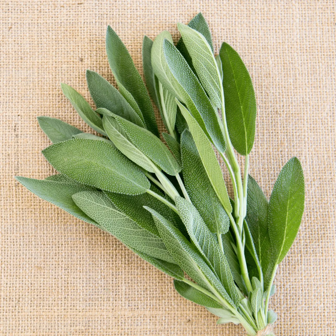 Sage Hydrosol