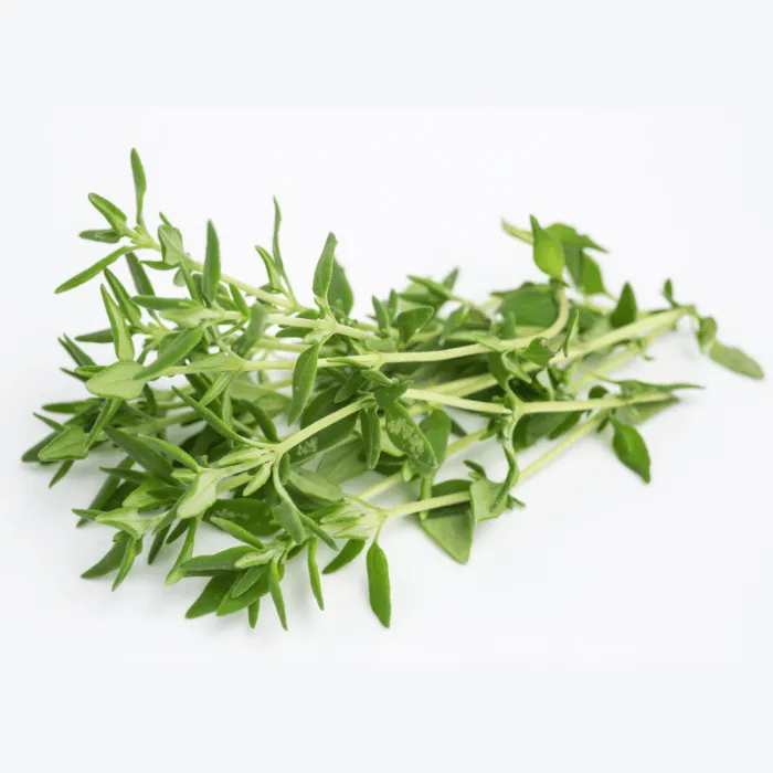 Thyme CO2