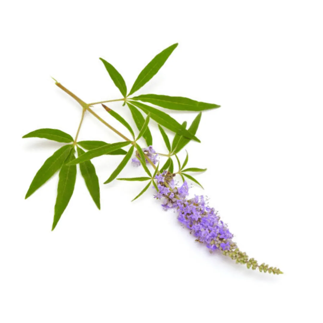 Vitex (Chasteberry) Leaf and Berry