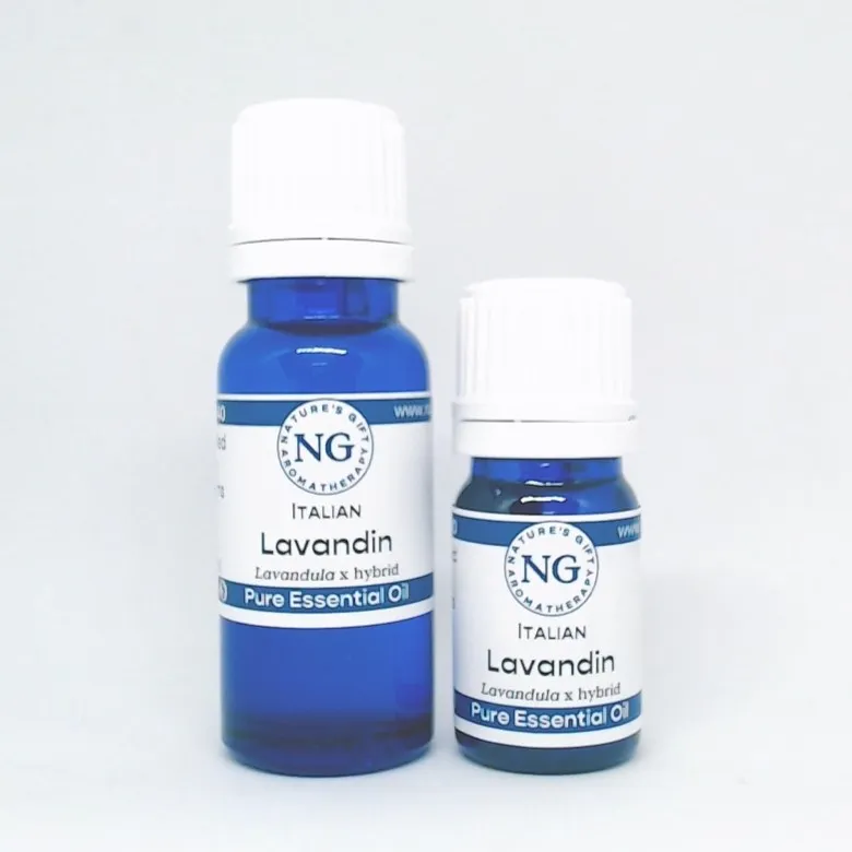 Lavandin Italian