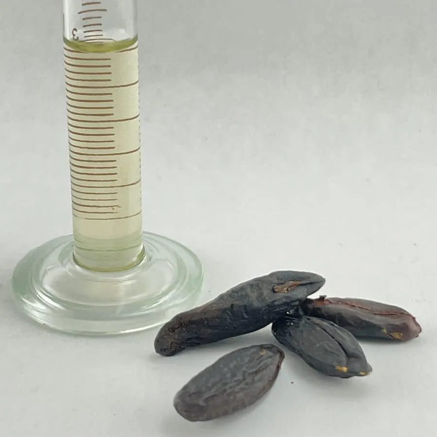 Tonka Bean Infused Oil