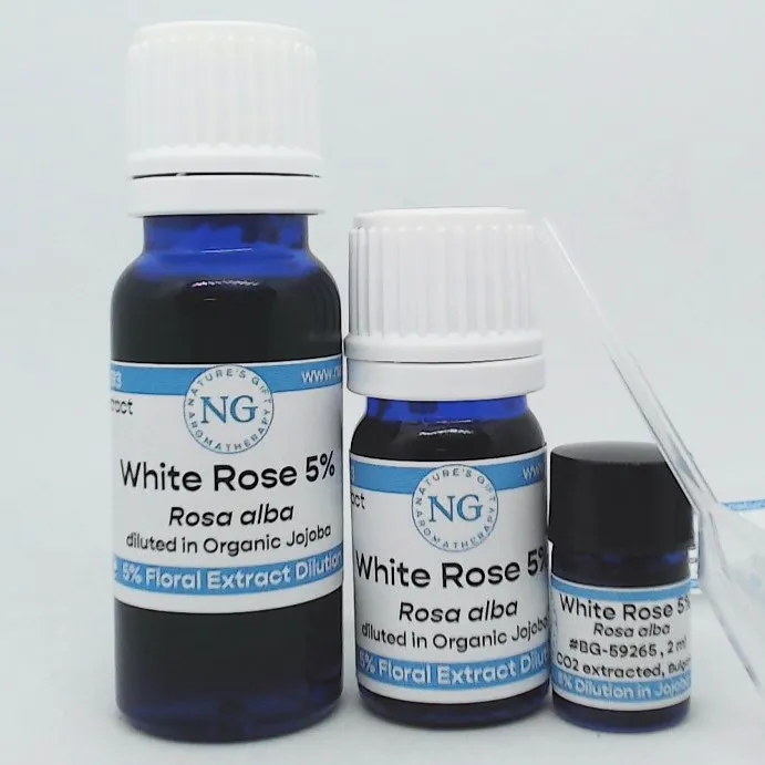 Rosa Alba (White Rose) CO2, 5% Dilution