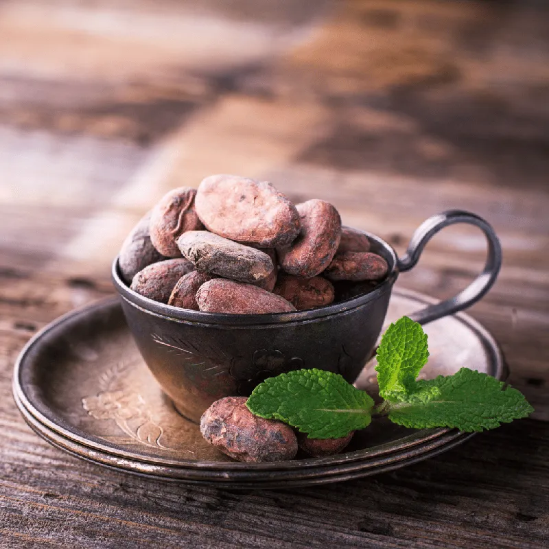 Cocoa CO2 Extract, 10% Dilution