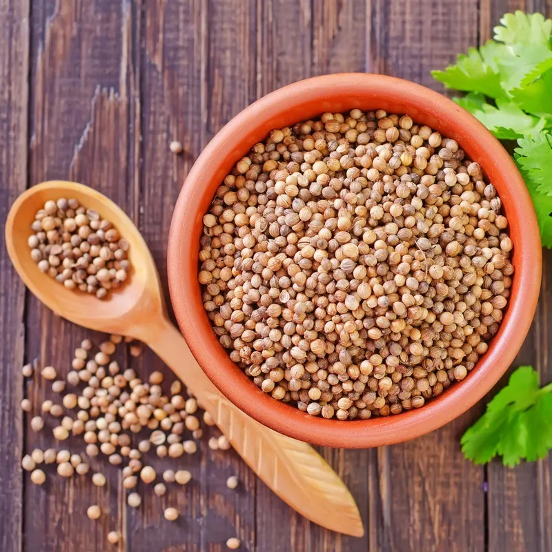 Coriander CO2