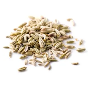 Fennel, Sweet