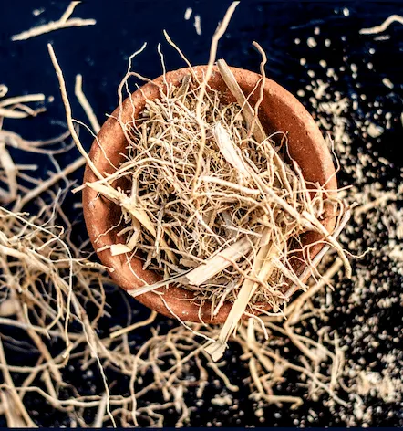 Vetiver, Madagascar