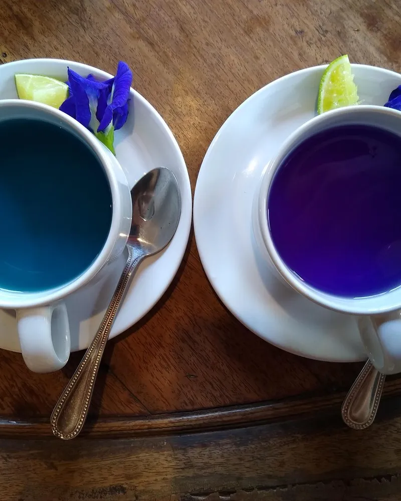 Butterfly Pea Blue Flower Tea