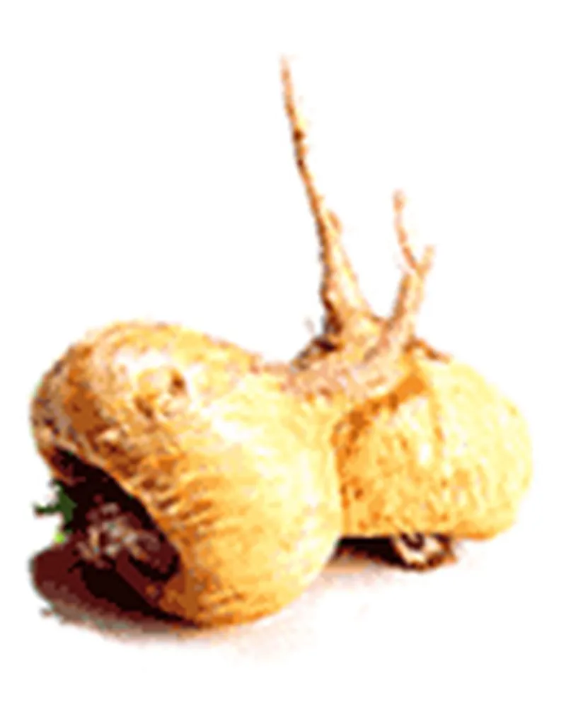 Maca Root Vitality Powder