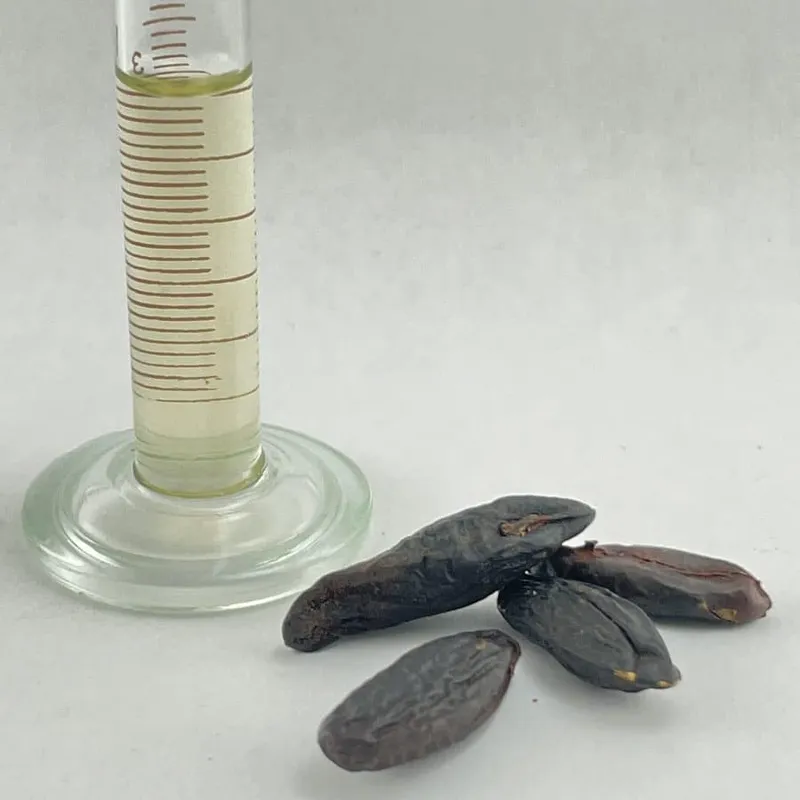 Tonka Bean Infused Oil