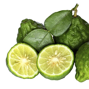 Lime Rind, Kaffir