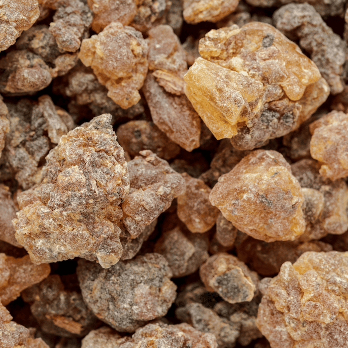 Benzoin Absolute
