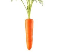 Carrot Root, Helio