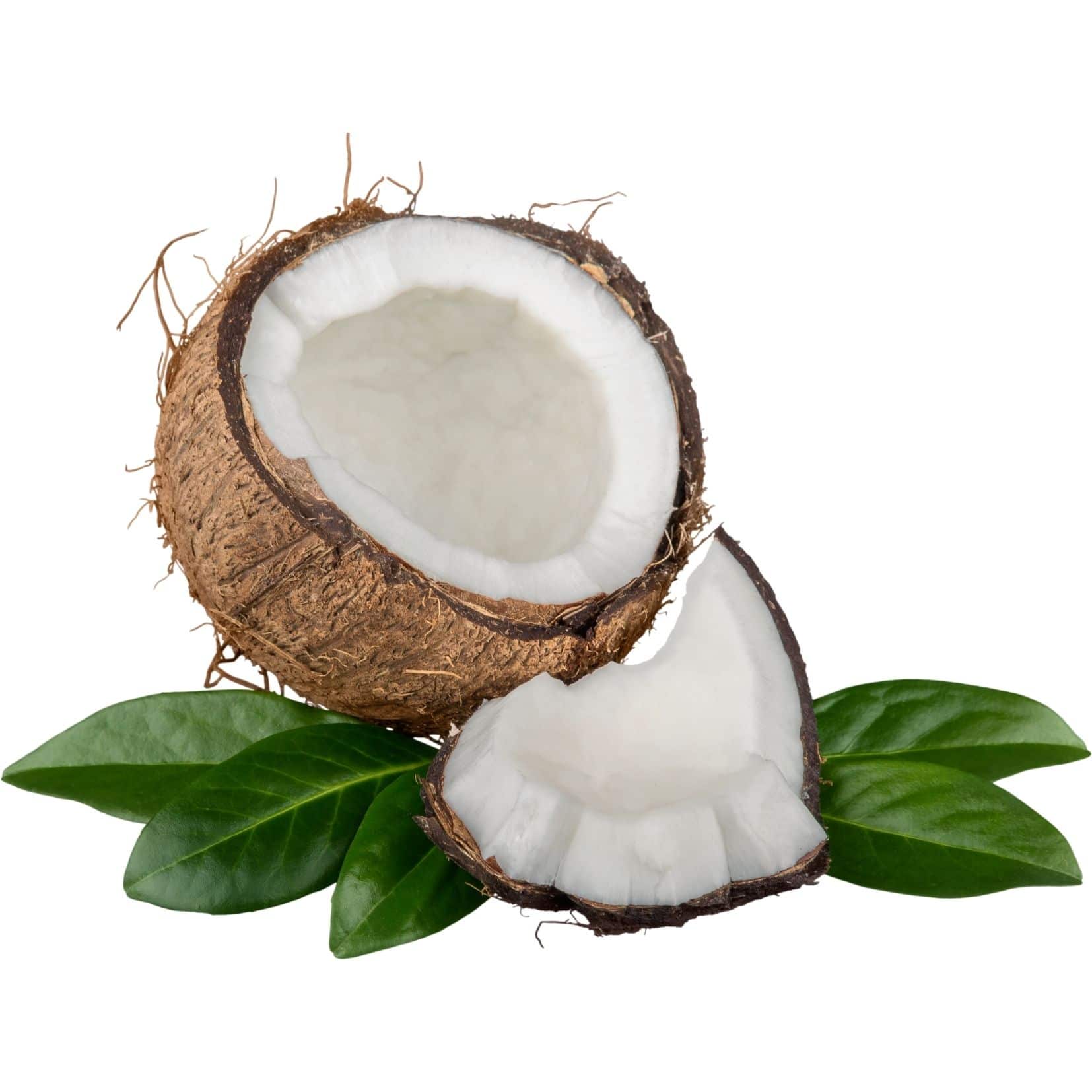 Coconut CO2