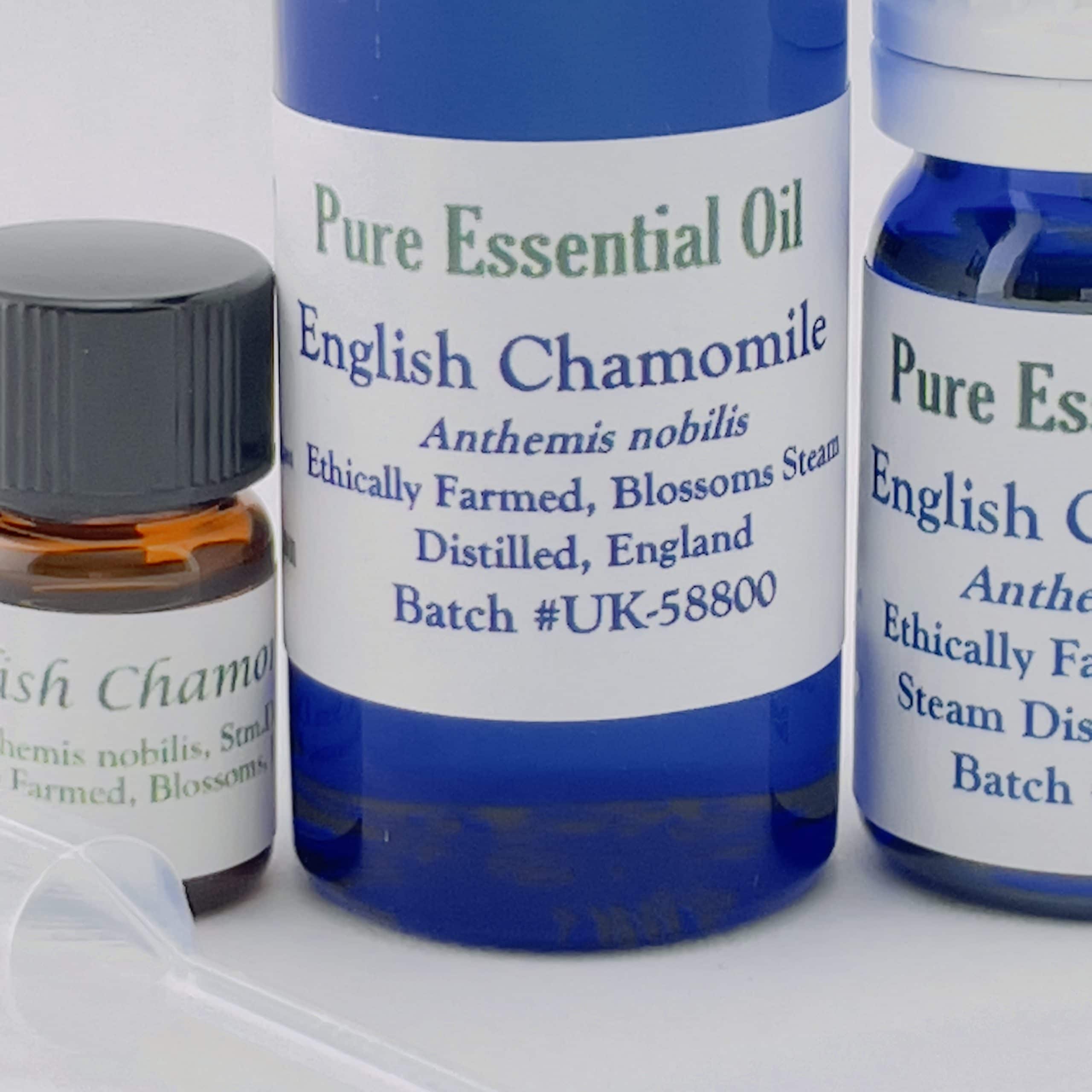 Chamomile, English