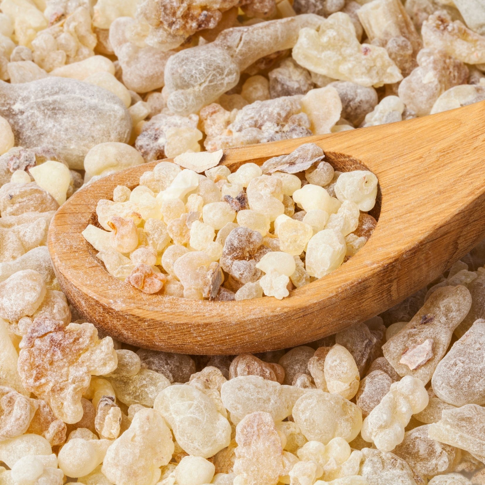Frankincense, Somalian