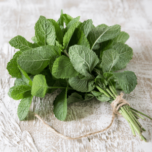 Peppermint, Organic, Hungarian