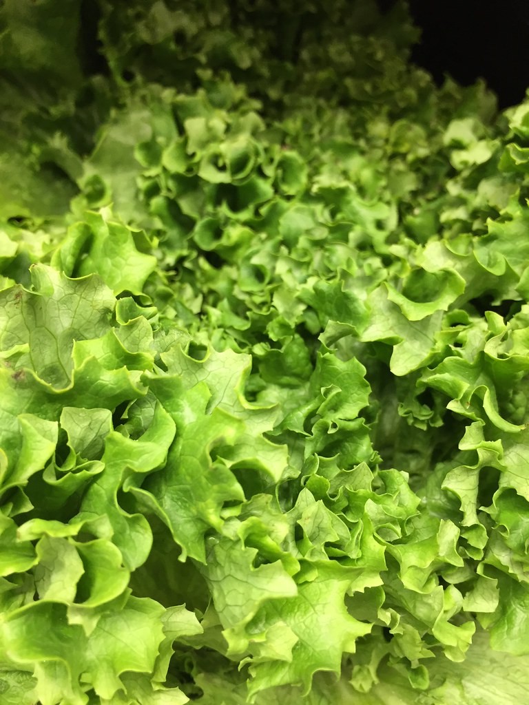 Leaflight Methylfolate — ingredient-inspired CC0 stock photograph