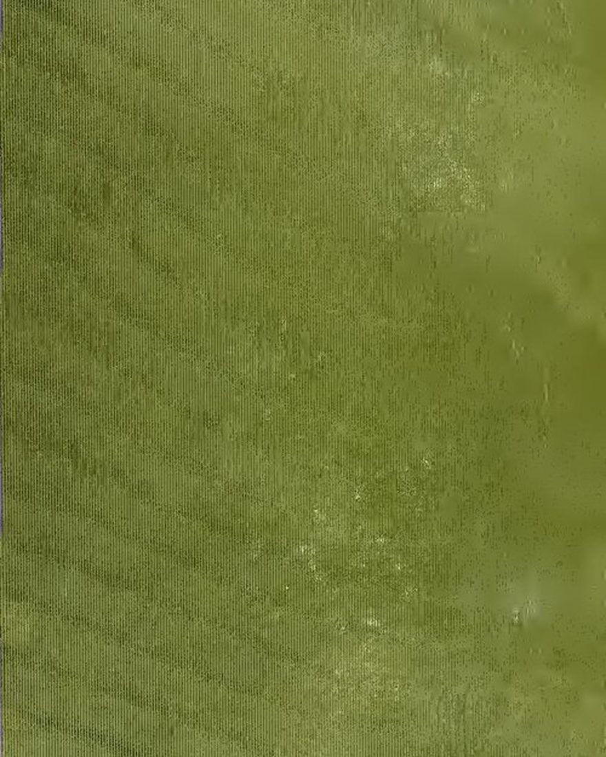 Spirulina Deep-Green Powder